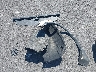 5LMCJ2D94KU****** Wrecked 2019 Lincoln MKC in Illinois State