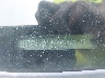1FAHP3HNXAW****** Used 2010 Ford Focus in Sayreville