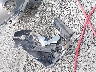 2FMPK3G92GB****** Wrecked 2016 Ford Edge in Georgia State