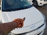 3KPA24AD7NE****** Salvage and Repairable 2022 Kia Rio in Texas State