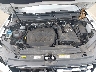 3VV3B7AX9MM****** Repairable 2021 Volkswagen Tiguan in IAA Englishtown