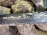 3NSA5K87XRH****** Reparables 2024 Polaris RZR en Flint