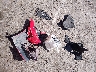 1G1BC5SM7K7****** Wrecked 2019 Chevrolet Cruze in New Mexico State