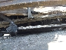 5YFEPMAE6MP****** Salvage 2021 Toyota Corolla