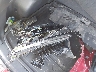7FARS6H96PE****** Salvage and Wrecked 2023 Honda CR-V in Missoula
