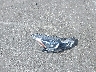 3N1CN8EV9NL****** Wrecked 2022 Nissan Versa in Florida State