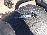 WB10M0307M6****** Salvage 2021 BMW R 1250 GS in Colorado State