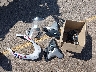 WB10M0307M6****** Wrecked 2021 BMW R 1250 GS in Colorado State