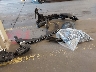 KM8HB3AB4SU****** Wrecked 2025 Hyundai Kona in Oregon State