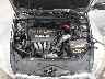 1HGCM56817A****** Repairable 2007 Honda Accord in Newburgh