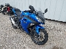 JKAEX8B18HD****** Salvamento y Destrozados 2017 Kawasaki Ninja 300 en Rec Rides Online Exclusive
