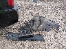 1GNSCGKC9JR****** Wrecked 2018 Chevrolet Suburban in Arkansas State