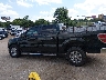 1FTFW1CF1DK****** Salvamento 2013 Ford F-150