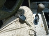 4T1BK36B37U****** Salvamento 2007 Toyota Avalon en Estado de Carolina del Norte