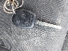 3FADP4BJ7DM****** Salvage 2013 Ford Fiesta in Texas State