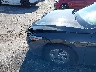 KMHLL4DG7SU****** Salvage and Repairable 2025 Hyundai Elantra in Florida State