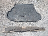 JF1SG656X4H****** Salvage 2004 Subaru Forester in California State