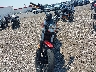 ML015AXG5GT****** Used and Repairable 2016 Ducati Scrambler 800 in Utah State