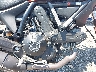 ML015AXG5GT****** Wrecked 2016 Ducati Scrambler 800 in Rec Rides Online Exclusive