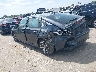19XFL2H57PE****** Salvamento y Reparables 2023 Honda Civic en Houston