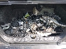 1ZVBP8AM0E5****** Destrozados 2014 Ford Mustang en Estado de Texas