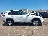 2T3RWRFV1KW****** Repairable 2019 Toyota RAV4 Hybrid in Hawaii State