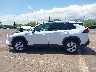 2T3RWRFV1KW****** Salvage 2019 Toyota RAV4 Hybrid