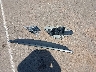 2T3RWRFV1KW****** Wrecked 2019 Toyota RAV4 Hybrid in Hawaii State