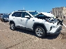2T3RWRFV1KW****** Salvage and Wrecked 2019 Toyota RAV4 Hybrid in Honolulu
