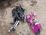 1G1BC5SM6G7****** Wrecked 2016 Chevrolet Cruze in Pennsylvania State