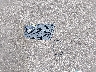 1FMCU9G63LU****** Destrozados 2020 Ford Escape en Estado de Minnesota