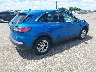 1FMCU9G63LU****** Salvamento y Destrozados 2020 Ford Escape en Estado de Minnesota