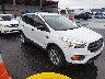 1FMCU0F79HU****** Salvage and Wrecked 2017 Ford Escape in Saint Louis