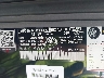 W1NYC7HJ0MX****** Usados 2021 Mercedes-Benz G-Class en Suffolk