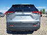 2T3P1RFV6SW****** Usados 2025 Toyota RAV4