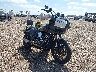 1HD1YXA16SB****** Salvamento y Destrozados 2025 Harley-Davidson Low Rider ST en Rec Rides Online Exclusive