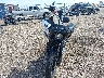 1HD1YXA16SB****** Usados y Reparables 2025 Harley-Davidson Low Rider ST en Estado de Texas