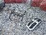 1C6RR6GG8GS****** Destrozados 2016 RAM 1500 en Estado de Florida