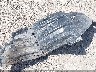 JTDEAMDE0NJ****** Wrecked 2022 Toyota Corolla in Texas State