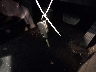 4T1G11BK1MU****** Salvage 2021 Toyota Camry in New York State