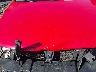 3VW467AJ0DM****** Reparables 2013 Volkswagen Jetta en Albany