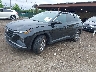 5NMJBCAE2PH****** Used and Repairable 2023 Hyundai Tucson in Long Island