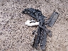 1FM5K8HT5HG****** Destrozados 2017 Ford Explorer en Estado de Wisconsin