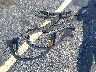 3GNKBBRA2LS****** Wrecked 2020 Chevrolet Blazer in Florida State