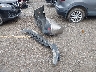 1G1ZD5ST6PF****** Wrecked 2023 Chevrolet Malibu in Kentucky State