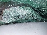 5NPD74LF4HH****** Repairable 2017 Hyundai Elantra in North Carolina State
