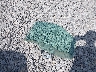 1FT8X3BT8FE****** Destrozados 2015 Ford F-350 en Estado de Oklahoma
