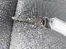 1FD0X5GY3DE****** Reparables 2013 Ford F-550 en Specialty Division