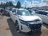 3N1AB8CV7SY****** Salvamento y Destrozados 2025 Nissan Sentra en Charlotte