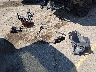 WA1DECF36N1****** Destrozados 2022 Audi Q3 en Estado de Colorado